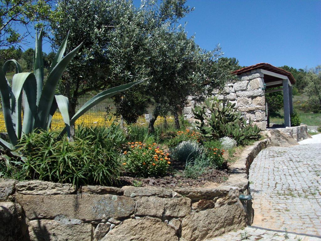 Quinta Do Mineiro-Serra Da Estrela Matanca Ruang foto