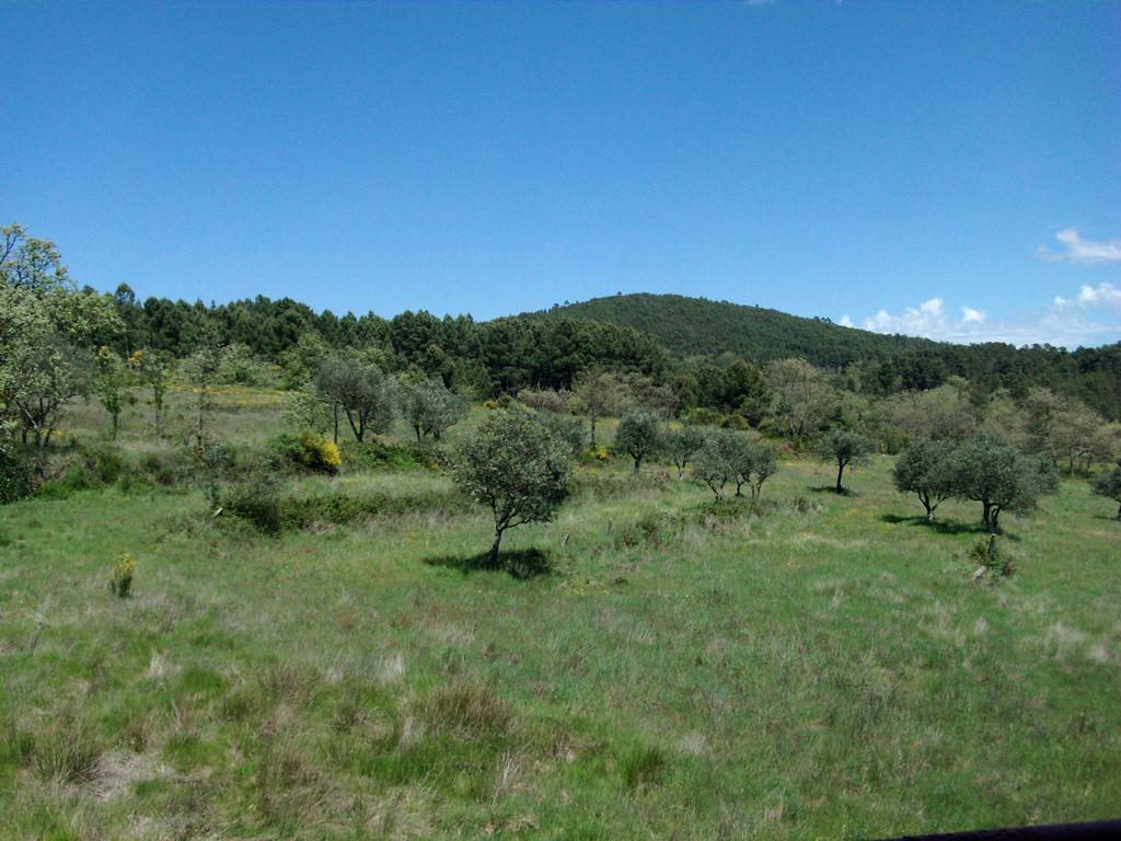 Quinta Do Mineiro-Serra Da Estrela Matanca Ruang foto