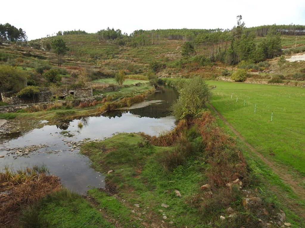 Quinta Do Mineiro-Serra Da Estrela Matanca Bagian luar foto